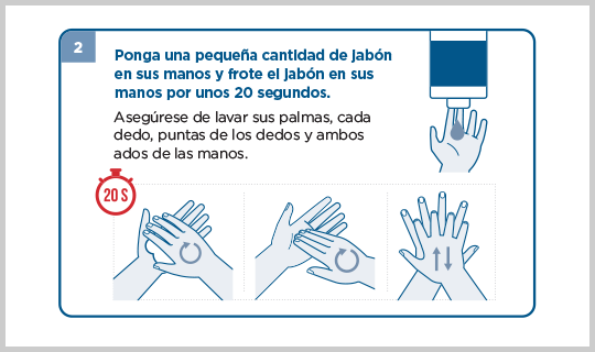 wash your hands