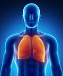 3D image of lungs